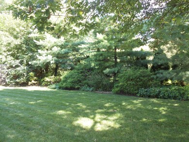 PEACEFUL BACK YARD