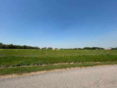 TBD Highway 252, Charleston, AR 72933 - photo 2