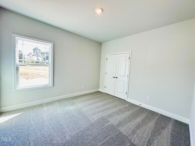 9390 Byron Ct unit Lot 208, Bailey, NC 27807 - photo 6