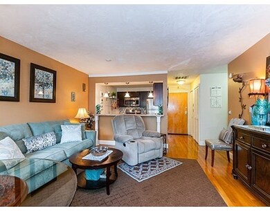 59 Msgr Patrick j Lydon Way unit 211, Dorchester Center, MA 02124 - photo 5