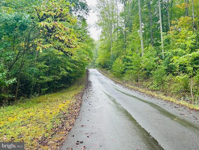 0 Hensley Rd unit VALA2008616, Mineral, VA 23117 - photo 6