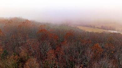 000 County Road 36, Gainesville, MO 65655 - photo 3