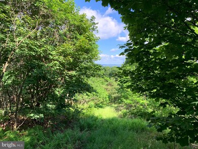 0 Nathaniel Mountain Rd unit WVHD106070, Moorefield, WV 26836 - photo 6