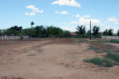 Looking North From South Property Line2