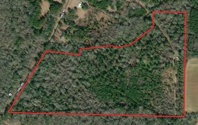 6880 Hall Rd, Coolidge, GA 31738 - photo 2