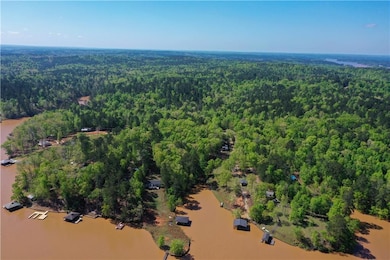 Drone / aerial view featuring a wooded view