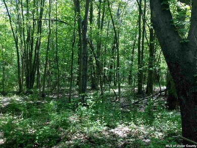 TBD Lucas Ave, Accord, NY 12404 - photo 7