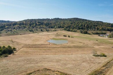 17 Elihu Cabin Hollow Rd, Somerset, KY 42501 - photo 4