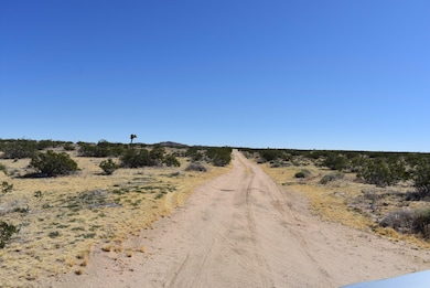 0 225th St E, Lancaster, CA 93544 - photo 4