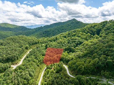 64 Mountain Magnolia Dr unit 51, Leicester, NC 28748 - photo 4