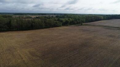 DJI_0002