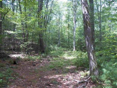 190 Bee Hole Rd, Loudon, NH 03307 - photo 6