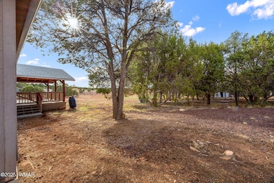 4998RogersLn-ShowLow-AZ-3