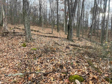 000 Crawford Rd, Crawford, WV 26343 - photo 7