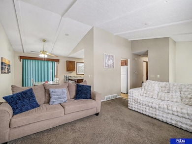 1104 Patricia Dr, Papillion, NE 68046 - photo 4