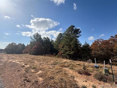 50 Summer Sky Dr, Greenbrier, AR 72058 - photo 3