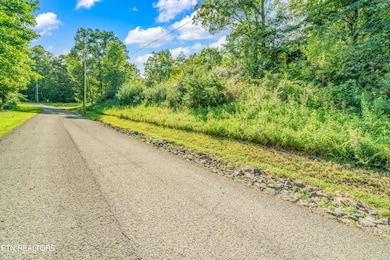 2 Shanghai Landing Ln, Lafollette, TN 37766 - photo 4