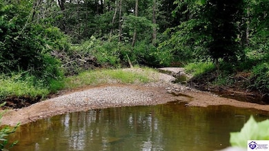 Tract 1 Cook Ln, Cromwell, KY 42733 - photo 7