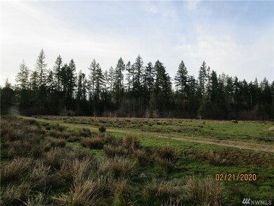 0 115th Ave SE, Littlerock, WA 98556 - photo 4