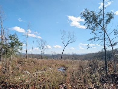 0 Nc 2900 unit 1329337, Marble Falls, AR 72648 - photo 3