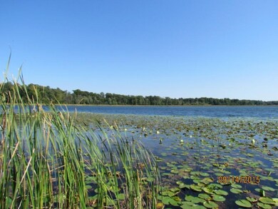IMG_3200 (Medium)