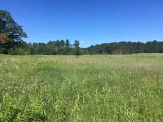 XXX Cty C Rd, Webster, WI 54893 - photo 2