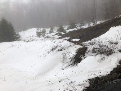 590 Holbrook Rd, Whitingham, VT 05342 - photo 4