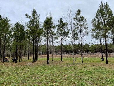 96 Moss Rd, Kokomo, MS 39643 - photo 5