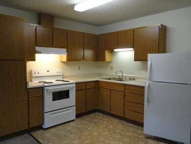 222 1st Ave NE unit 3, Eagle Bend, MN 56446 - photo 3