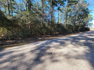 31011 Sugar Bend Dr, Magnolia, TX 77355 - photo 3