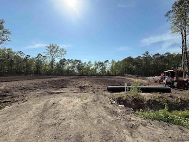 View of yard with a forest view