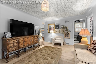 30706 Everett St, Southfield, MI 48076 - photo 5