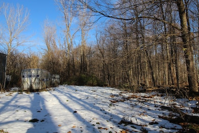 58573 Oak Grove Rd, Cassopolis, MI 49031 - photo 5