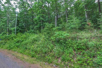 1 Cross Mountain Rd, 3, Marksville, VA 22835 - photo 5