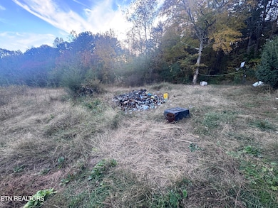 552 County Road 804, Etowah, TN 37331 - photo 4