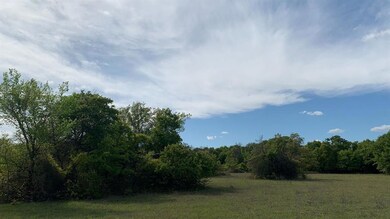 301 Sarra Ln, Poolville, TX 76487 - photo 6