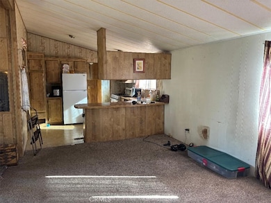 Living room and kitchen