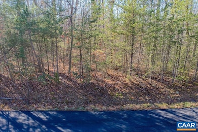 0 Secretarys Rd unit 671602, Scottsville, VA 22945 - photo 3