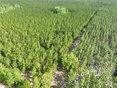 0 Ralph Davis Rd, Folkston, GA 31537 - photo 2