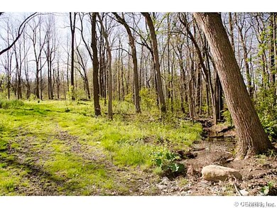 Land/Lot.