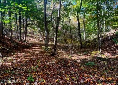 0 Manning Hollow Rd unit 1311320, Sevierville, TN 37876 - photo 6