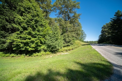 0 Emerald Ridge unit 29 22036088, Onekama Township, MI 49675 - photo 2