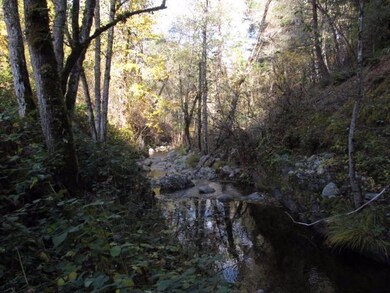 946 W Pickett Creek Rd, Grants Pass, OR 97527 - photo 3