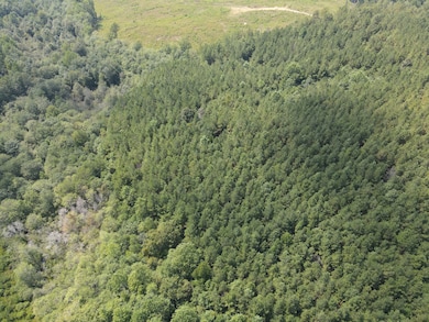 0 Mississippi 514 unit LotWP001, Stonewall, MS 39363 - photo 6