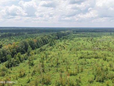 001 Reed Rd, Starkville, MS 39759 - photo 3