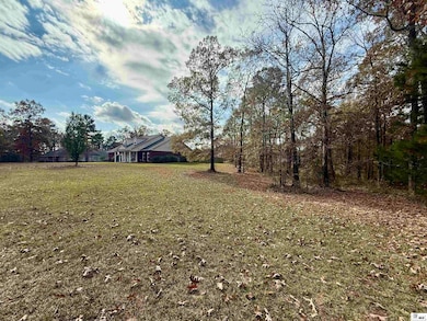 192 Leckie Rd, Calhoun, LA 71225 - photo 3