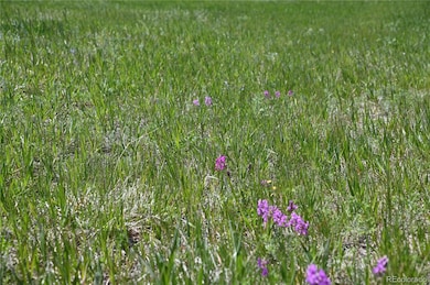 30523 Mountain View Trail unit 6, Kiowa, CO 80117 - photo 4