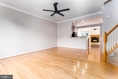 132 Lullwater Way, Falling Waters, WV 25419 - photo 6