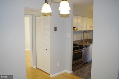 11208 Chestnut Grove Square unit 310, Reston, VA 20190 - photo 5