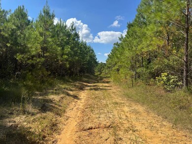 0 Chapel Hill Rd, Grenada, MS 38901 - photo 7